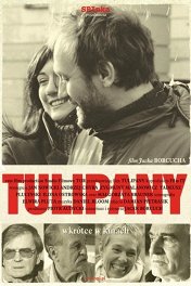 Тюльпаны / Tulipany