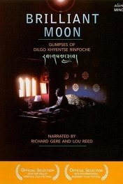 Бриллиантовая луна / Brilliant Moon