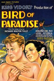 Райская птичка / Bird of Paradise