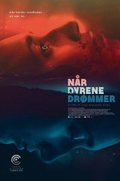 Когда животные видят сны / Når dyrene drømmer