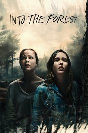 В лесу / Into the Forest