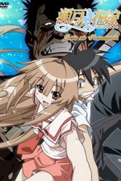 Морская невеста / Seto no Hanayome