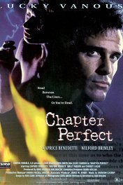 Идеальное преступление / Chapter Perfect