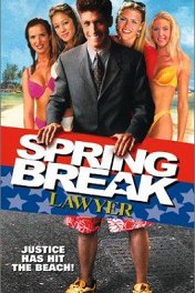 Адвокат на каникулах / Spring Break Lawyer