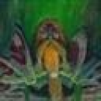 Фото KingMagni