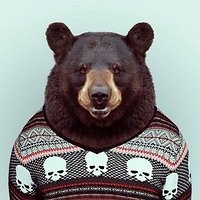 Фото Серега Нестеренко