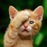 8 новых свиданий актеры смотреть. Смотреть фото 8 новых свиданий актеры смотреть. Смотреть картинку 8 новых свиданий актеры смотреть. Картинка про 8 новых свиданий актеры смотреть. Фото 8 новых свиданий актеры смотреть