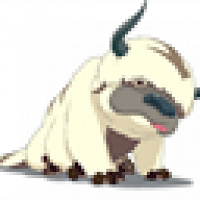 Фото Appa