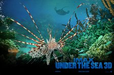 На глубине морской 3D – афиша