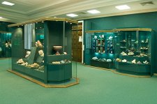 Музей естественной истории Татарстана – афиша