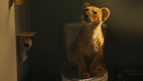 Король-львенок / King