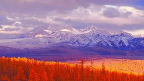 Борис Дмитриев. Мой путь