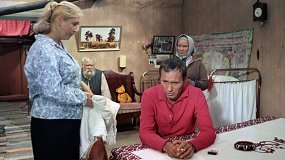 Калина красная