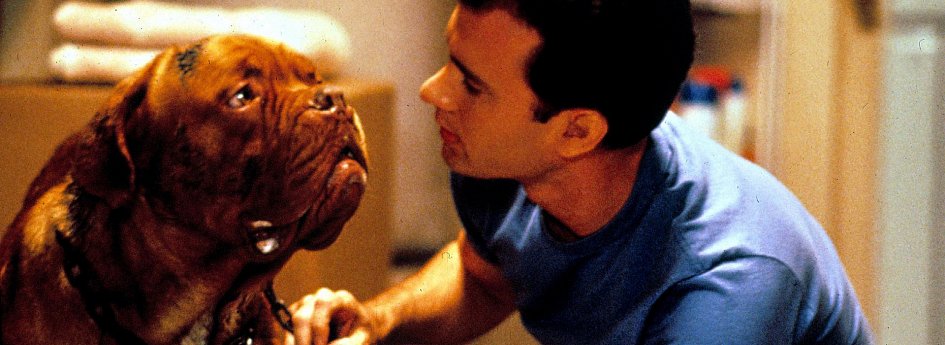 Кино: «Тернер и Хуч» Кино: «Тернер и Хуч»