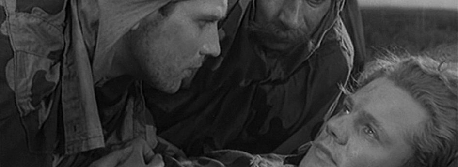 Фильм «Звезда» Кино: «Звезда»