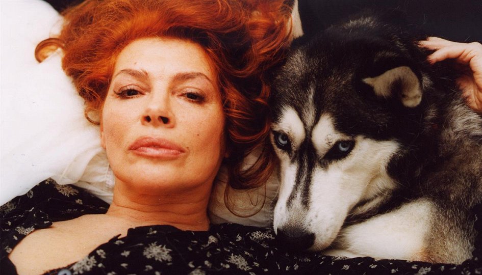 Кино: «Звериная любовь» Кино: «Звериная любовь»