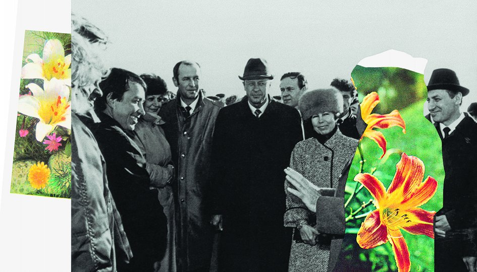 Выставки: Агентство сингулярных исследований: Flower Power. Архив Выставки: Агентство сингулярных исследований: Flower Power. Архив
