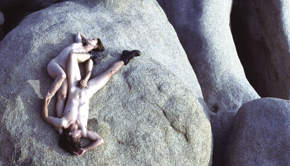 Кино: «29 Пальм» Кино: «29 Пальм»