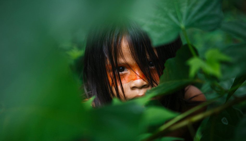 Выставки: Amazonas Выставки: Amazonas