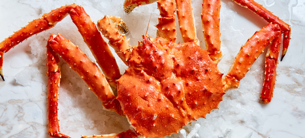 fitcher: Сезонное обновление меню в Wine & Crab, устричный сет по средам в The Y и другие новости