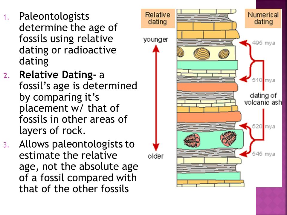 what are relative and absolute dating techniques
