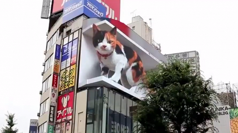 Огромного 3D-кота на экране билборда в Токио сняли на видео