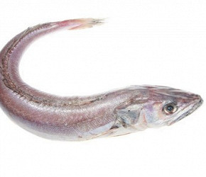 Фотография ингредиента Хек