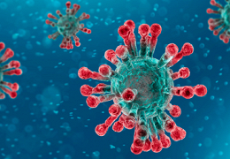 В Германии поддержали версию об утечке ковида из лаборатории