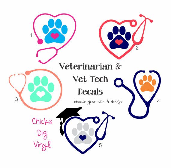 Download 57 Lizzy Svg Craft Ideas Vet Medicine Vet Assistant Vet Tech