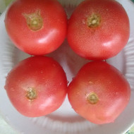 Печеный красный перец с розовыми помидорами и луком по-болгарски