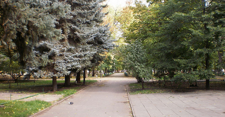 Сад липки саратов сад липки фото