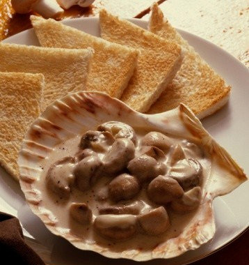 Рецепт Тосты с грибами и сливочно-чесночным соусом
