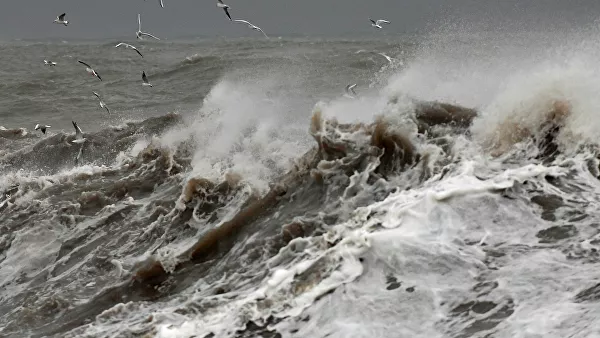 Пьяная женщина чуть не утонула в Сочи