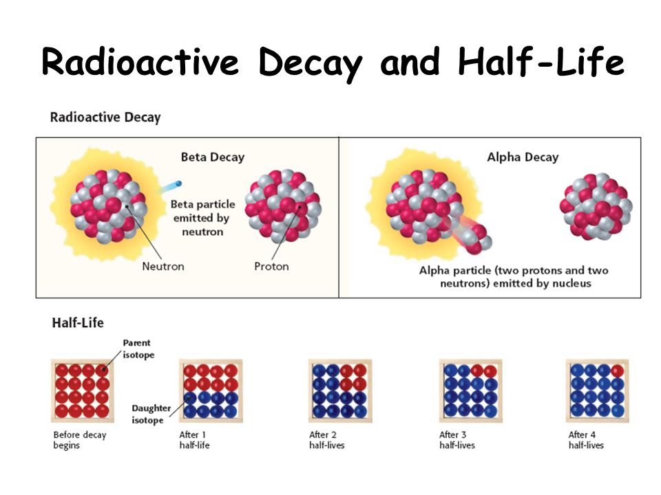 Radioactivity: A steady but unpredictable (spontaneous) process