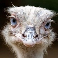 Фото Свет Ключ