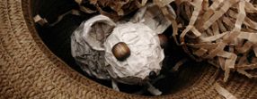 Сказка со счастливым хвостом Сказка со счастливым хвостом