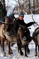 Полярный уголок Подмосковья Полярный уголок Подмосковья